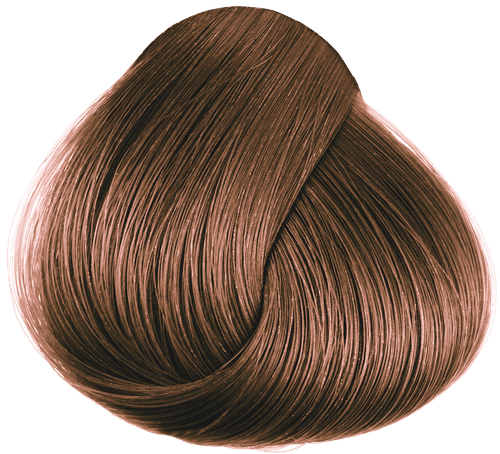 Portabella