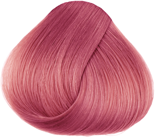 Rose Blossom