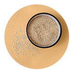 Quinoa protein
