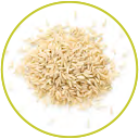 Hydrolysed Rice Protein