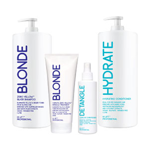 Hi Lift Professional product range