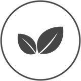 Clean, biodegradable, vegan formula