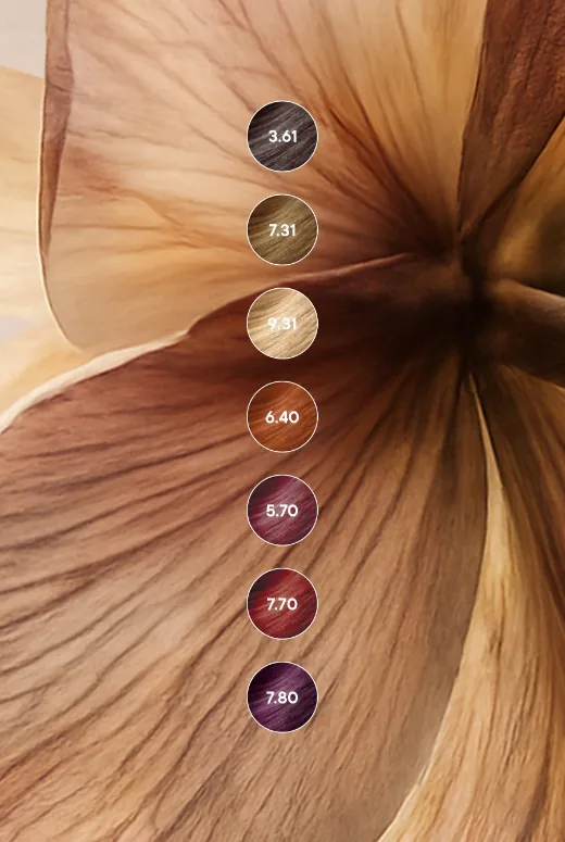 The seven Elevated Warmth shades, 3.61, 7.31, 9.31, 6.40, 5.70, 7.70 and 7.80, as swatches over a dried flower