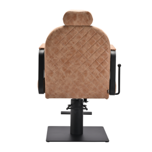 Brow Reclining Styling Chairs